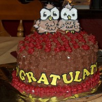 Sorority Celebration Cake This is a cake I made for the sorority I advise to celebrate their big/little night.