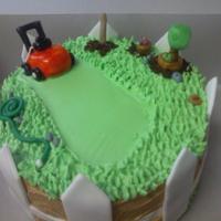 Bday Cake For Landscaper Buttercream frosted with fondant pieces. I saw a couple of cakes similar to this before and thought it was a cute idea,i love the hose and...
