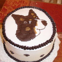 Border Collie Fbct friend wanted a birthday cake for her friend, called me at 10am saying the party was at 1, could I have it done? was planning on the cake...