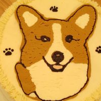 Corgi In Fbct 