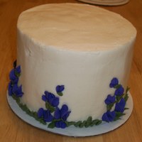 Sweet Peas 6 inch chocolate cake filled with nutella and raspberry jam. Iced in french vanilla buttercream.Decorated with royal icing sweet peas.My...