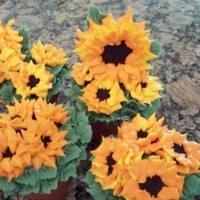 Sunflower Cupcakes made these for my wives birthday as she loves sunflowersfrench vanilla with whipped cream filling, silicon cupcake flower pots,oreos for...