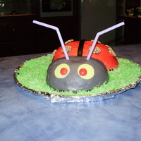 Birthday Bug Fondant iced head, buttercream iced body.