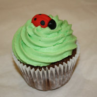 Ladybug Cupcake Little sugarpast ladybug on a chocolate cupcake with vanilla frosting.