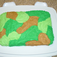 1St Camo Cake! This is the cake I made for my son & brother's baptism. They wanted camo & that's what they got.