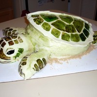 Turtle Run my neice works at a seaqurium and is very fond of turtles. So on her birthday I designed this cute turtle for her. She absolutely loved it...