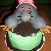 Easter Mole This was another cake central inspired cake.