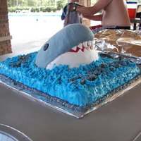 Shark Birthday Cake This was for my son's 6th birthday last July. He LOVES sharks and insisted on a shark cake. My first attempt with fondant. What do you...