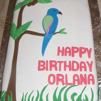 Parrot Cake Orlana's parrot birthday cake