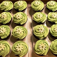 Sage Green Daisy Cupcakes Chocolate cupcakes with sage green buttercream.Topped with fondant daisies dusted with pearl luster. Center dot is sage green buttercream....