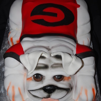 Ga Bulldog Cake Bulldog cake from my class with Ashley Perkins at Custom Cakes in Savannah, Ga.