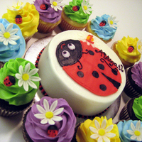 Ladybug Cupcakes 