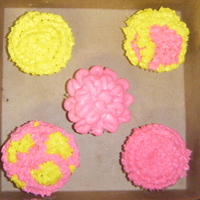 Spring Cupcakes Experimenting with cupcake designs... The bottom left is my favorite! The cupcakes are a French Vanilla with vanilla buttercream!