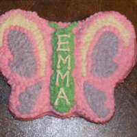 Butterfly 1St Birthday I made this cake for my daughter's first birthday. It's based off the hugs and stitches party supplies...star tip with cream...