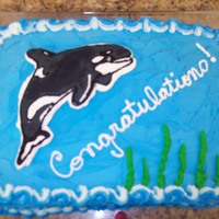 Whale Graduation Cake This is a chocolate cake with BC icing. The whale is a BCT. Was made for a college student that is graduating and going to work for Sea...