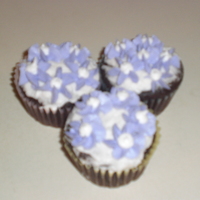 Purple flowers