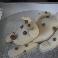 Spotty Dog made this last night in our class