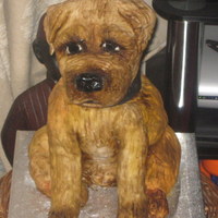 Border Terrier Dog Cake All edible, body and hind legs are sponge cake and the front legs and head are marshmallow crispie cake. All covered in royal icing and...
