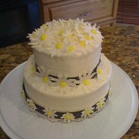 Daisies For Patty This was for my neighbor Patty who turned 55.Red Velvet, with Cream Cream Cheese BC icing. Fondant Daisies.Daisies were life like as they...