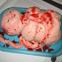 Fetus Cake This cake i made for my very good friend. She is in roller derby with me and is a biology teacher at Whitewater University. She had had 3...