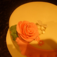 Frills And Roses This was just a practice at some garrett frills.......don't really like doing them but just giving it a go. :)