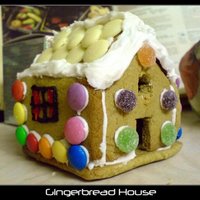 Mini Gingerbread House At the time I made this I was dating a guy who had never ever had a gingerbread house. Gingerbread houses are a massive tradition in my...