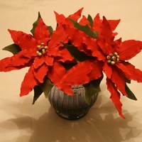 Gumpaste Poinsettias Gumpaste poinsettias for a holiday cake show. Each one has 23 leaves and I made five... they took days!
