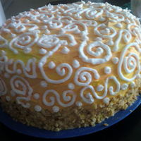 Swirly Cake This is a chocolate chip caramel cake with a chocolate ganache filling and all buttercream frosting. It was made for my swim teams dinner...