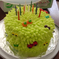 Monster Eyes Cake this was really fun cake! all sorts of candies make the eyes and lime green buttercream piped out all over.