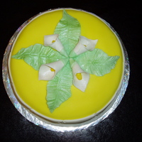 Last Cake For Fondant Class This is my first try at covering a cake with fondant. It was fun!