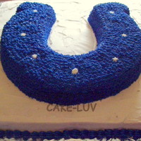 Indianapolis Colts I made this for my nephew's birthday. He is a huge Colts fan!!