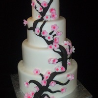 Cherry Blossoms Ive seen this cake done a few times and just thought I'd try my hand at it!