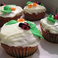 Lady Bug lady bug carrot cake