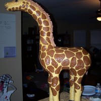 Giraffe 