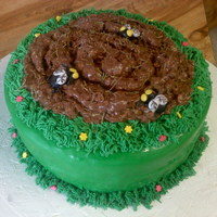 Ugly Cake I made is for a "Ugly Cake" (open to interpretation) contest. This is what I came up with...I was inspired by looking outside..we...