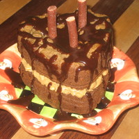 Dog Birthday Cake This is a cake I baked for my dog's birthday. I do this anually and have a party. This particular one is made from human grade organic...