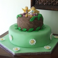 Easter Nest Cake I made this cake to be raffled in aid of our village school. It's an all Chocolate butter cake with lime buttercream on the bottom...