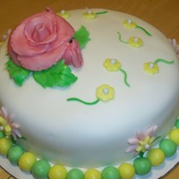 Spring Time Cake - Beginner My daugher and I are trying our hand at making fondant cakes (and I stress the word trying). We made this cake as a practice cake. Still...