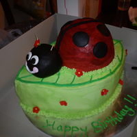 Ladybird On Leaf thank you to the gorgeous lady bird makers on here for the ideas with this! complete choc fest for a friends daughter