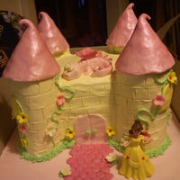 Princess Castle choc mud cake, covered in butter cream with fondant features,dragon and a princess doll. this was for my daughters 5th birthday, and the...