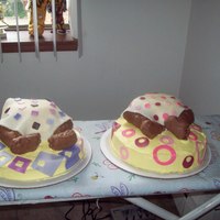 Twin Girls 6-6-10- This is for a babyshower for twin girls, one in pinks and the other in purples. Unfortunately the mom was in labor and missed her...