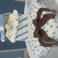 Blue-White Shower Cake Bottom - 3 layers of lemon cake w/ fresh raspberry filling, cream cheese icing - Top cake - Fresh Strawberry & cream cheese icing - all...