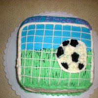 Soccer Net 