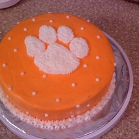 Clemson Cake Cake I made for my husband's birthday. We are both big Clemson fans!
