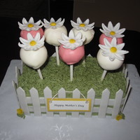 Cake Pop Garden I made this for my mother in law. Grass is buttercream, flowers and picket fence are fondant/gumpaste.