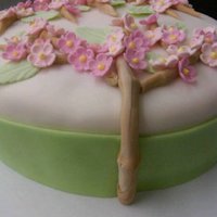 Apple Blossom 