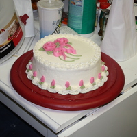 Wilton Course 1 Cake cake #3 in course 1 :)