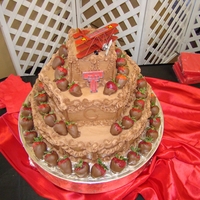 Cory's Groom's Cake 14" round, 10" round, 6"round chocolate layers,. Groom's hobby was airplanes, hence the cake topper, and graduated from...