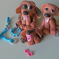 The Puppy Fam Just a sweet little puppy family with collars, tags, one leash& baby w/ his little binky!