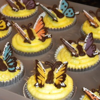 Butterfly Cupcakes Buttercream frosting with chocolate butterflies.